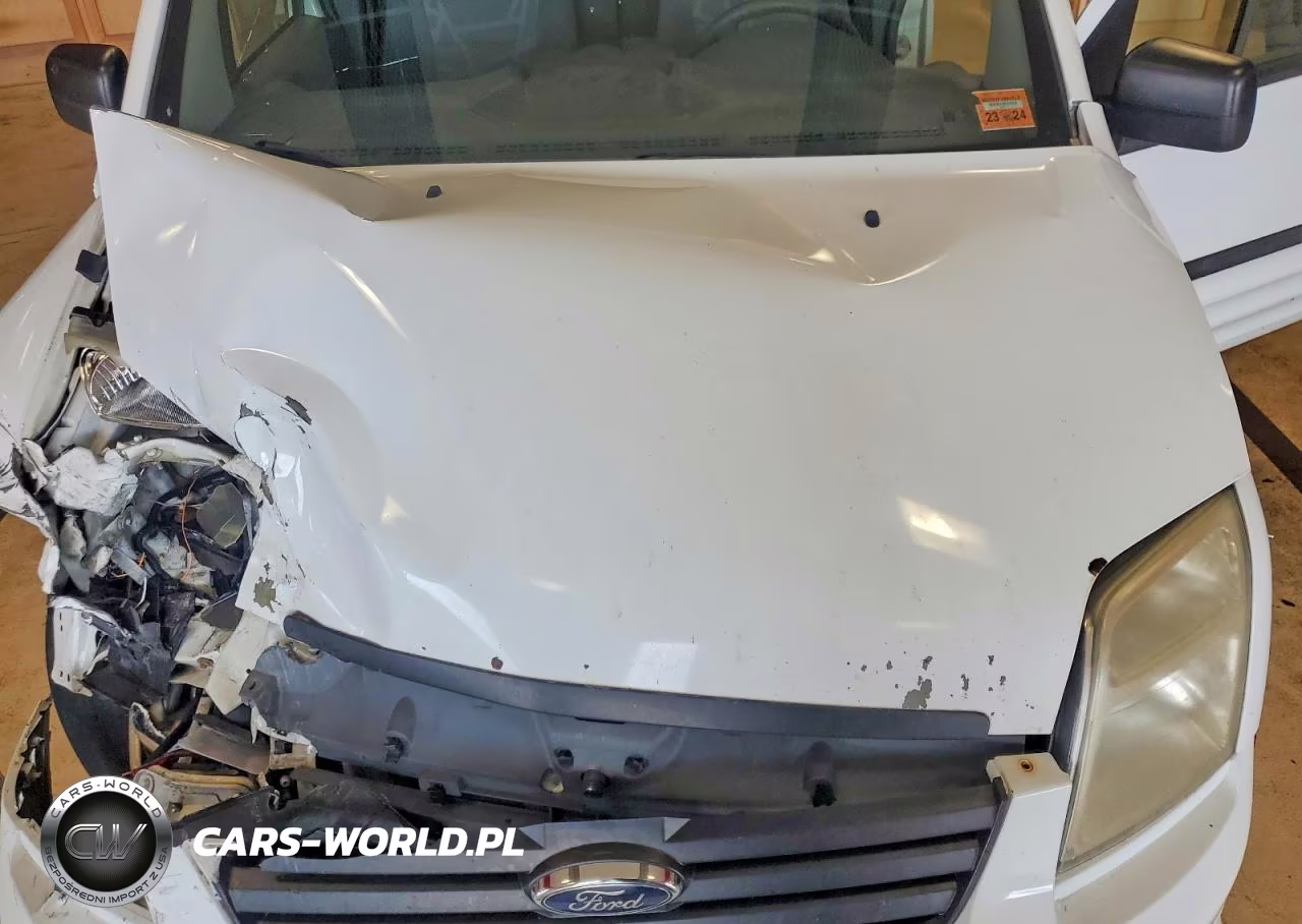 2013 Ford Transit Connect Xlt VIN:NM0LS6BN7DT135688 - 11
