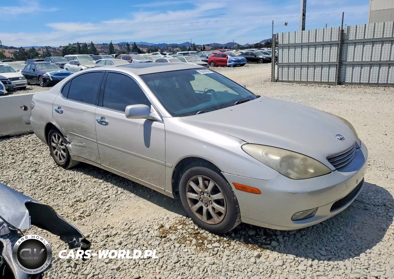 2002 Lexus Es 300 VIN:JTHBF30G520073534 - 4