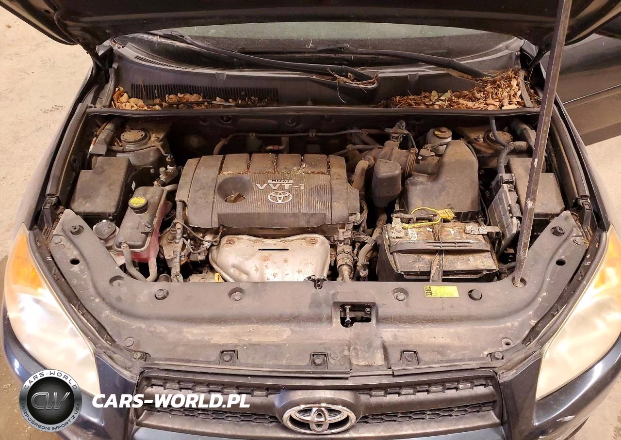 2009 Toyota Rav4 Base VIN:JTMBF33V295007032 - 12