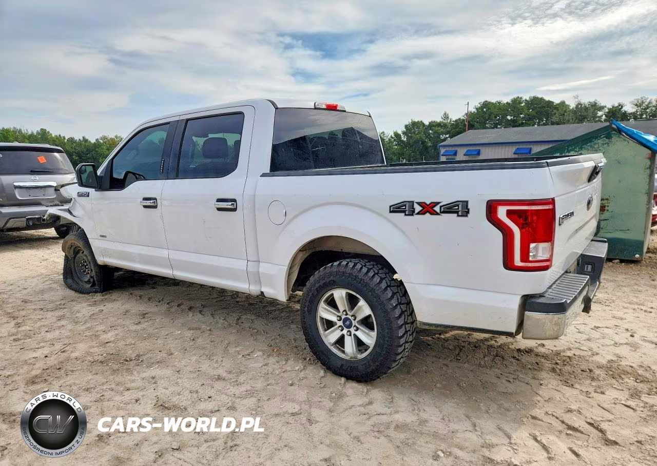 2016 Ford F150 Supercrew VIN:1FTEW1EP2GKD41396 - 2