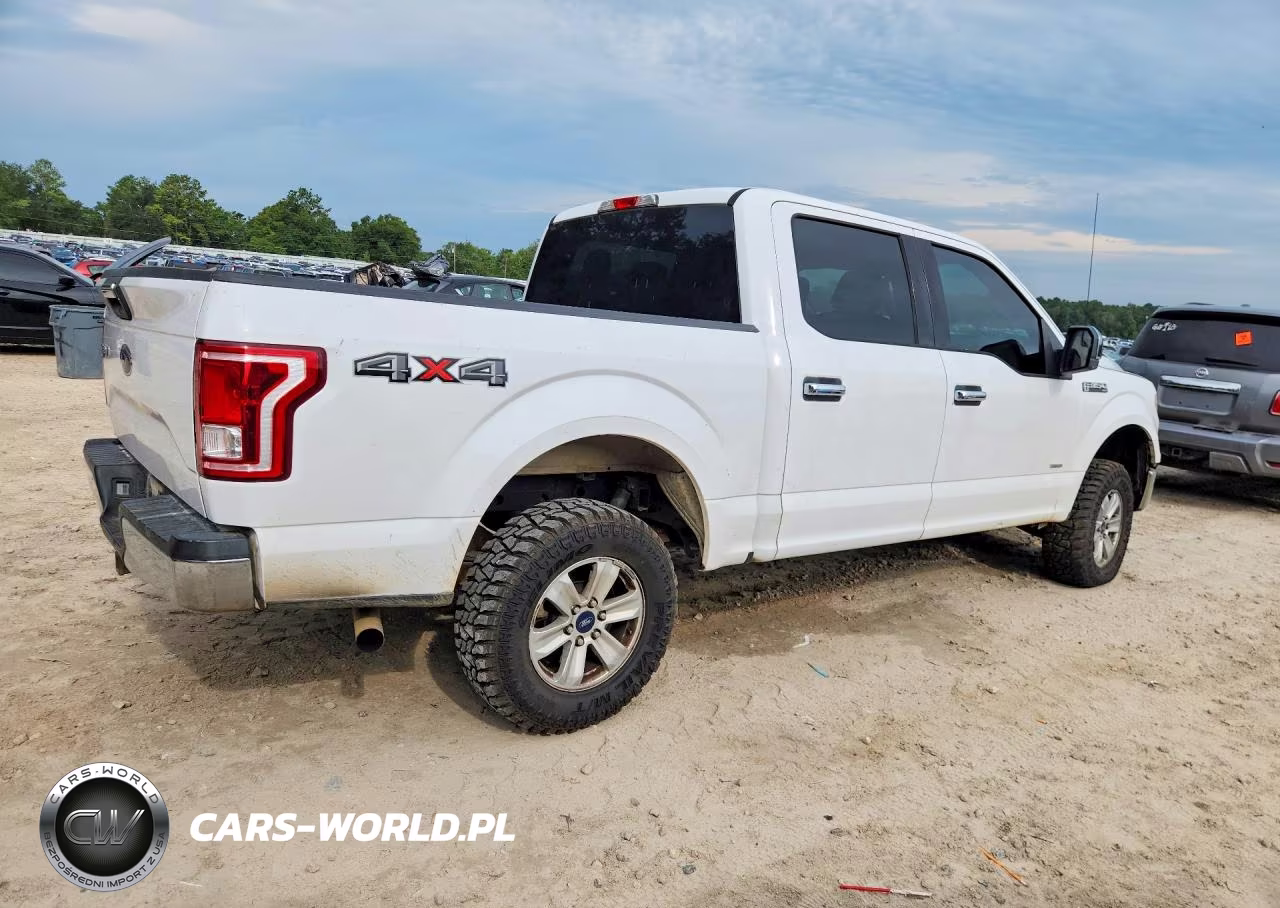 2016 Ford F150 Supercrew VIN:1FTEW1EP2GKD41396 - 3