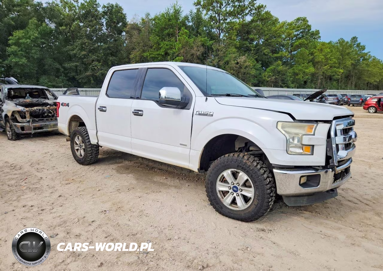 2016 Ford F150 Supercrew VIN:1FTEW1EP2GKD41396 - 4