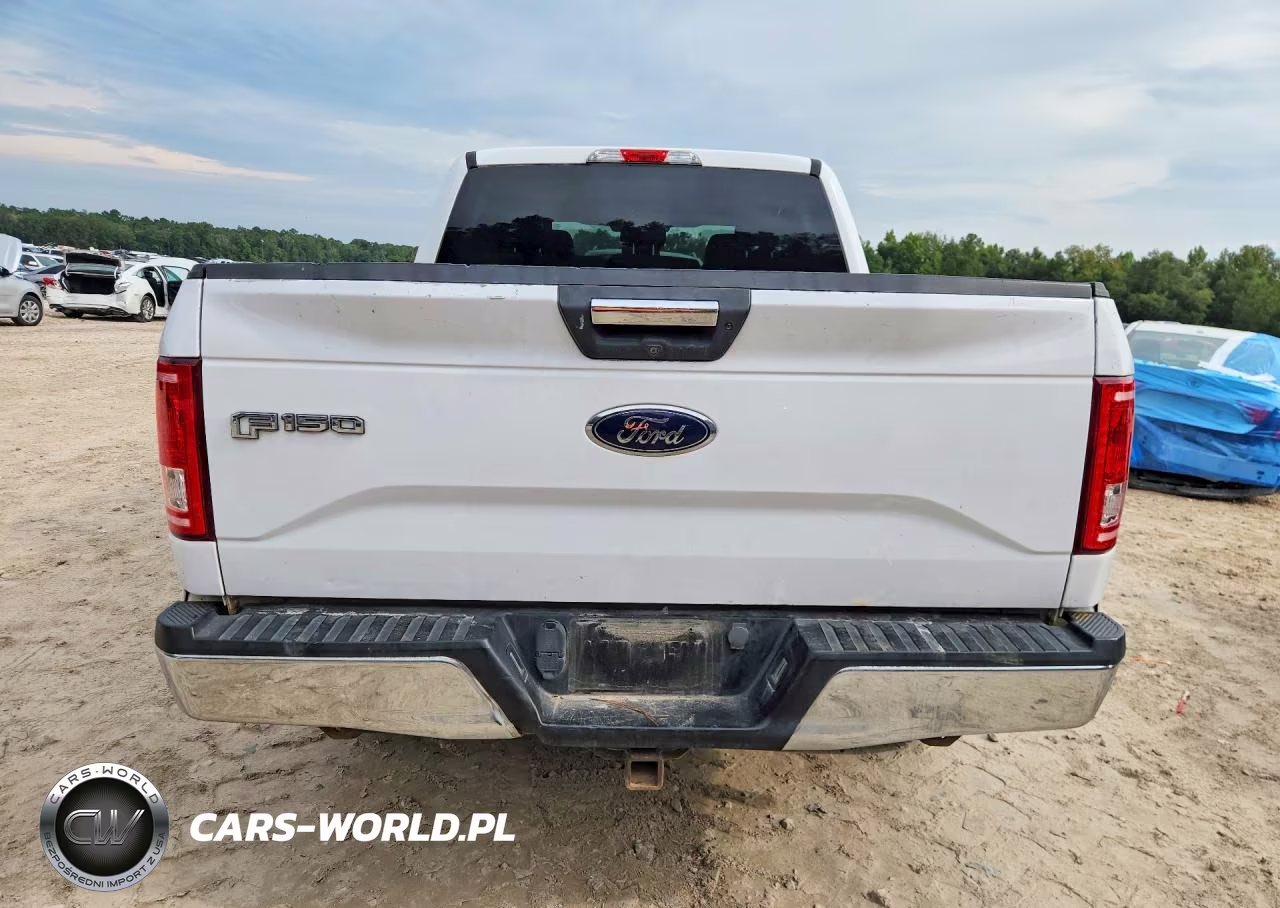 2016 Ford F150 Supercrew VIN:1FTEW1EP2GKD41396 - 6