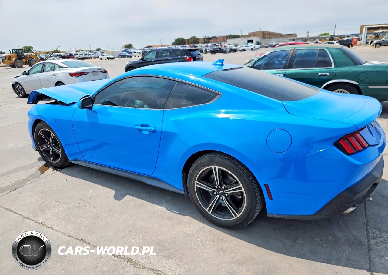 2024 Ford Mustang VIN:1FA6P8TH4R5100436 - 2