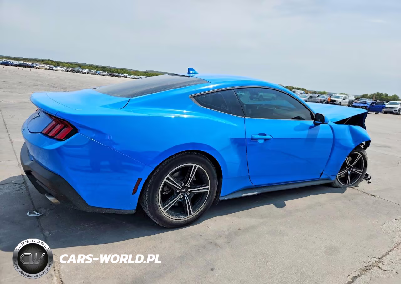 2024 Ford Mustang VIN:1FA6P8TH4R5100436 - 3