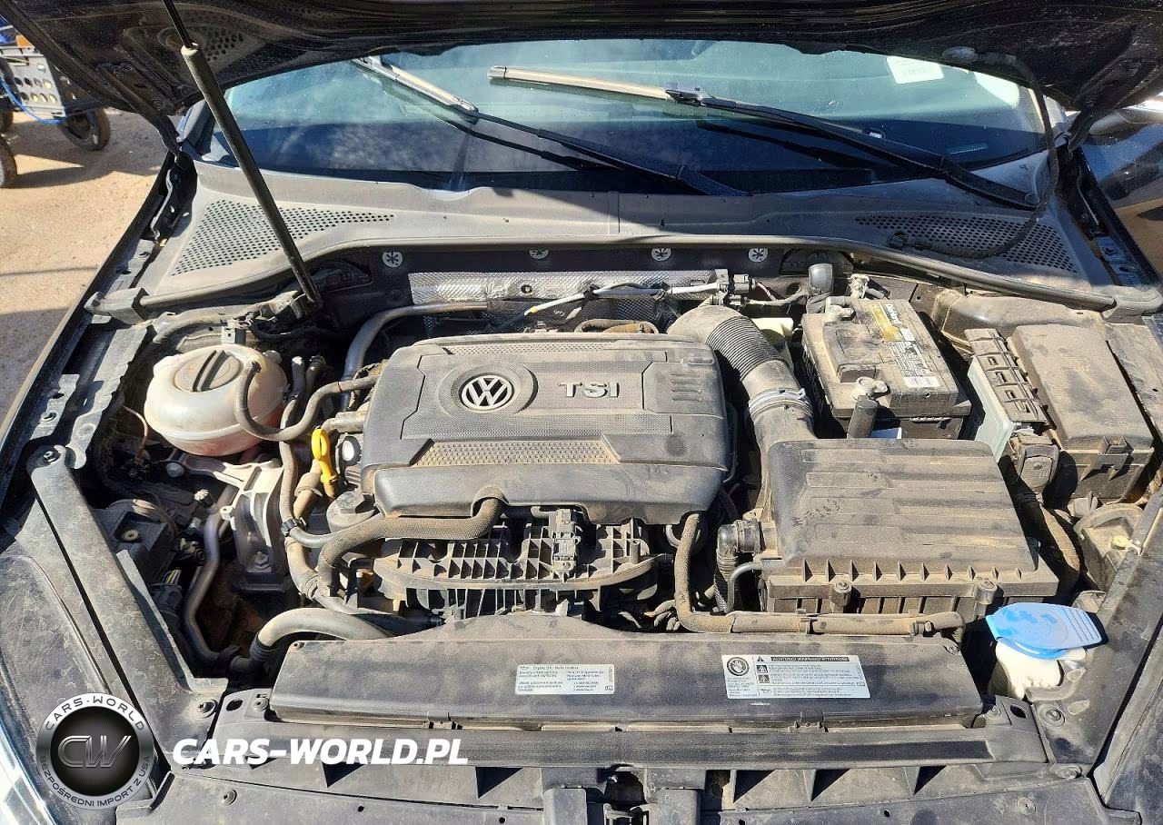 2017 Volkswagen Golf Sportwagen S VIN:3VWC17AU0HM501724 - 11