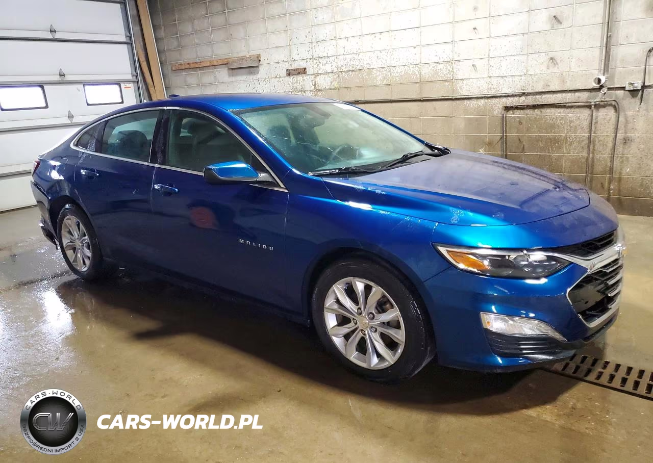 2019 Chevrolet Malibu Lt VIN:1G1ZD5ST3KF117936 - 4
