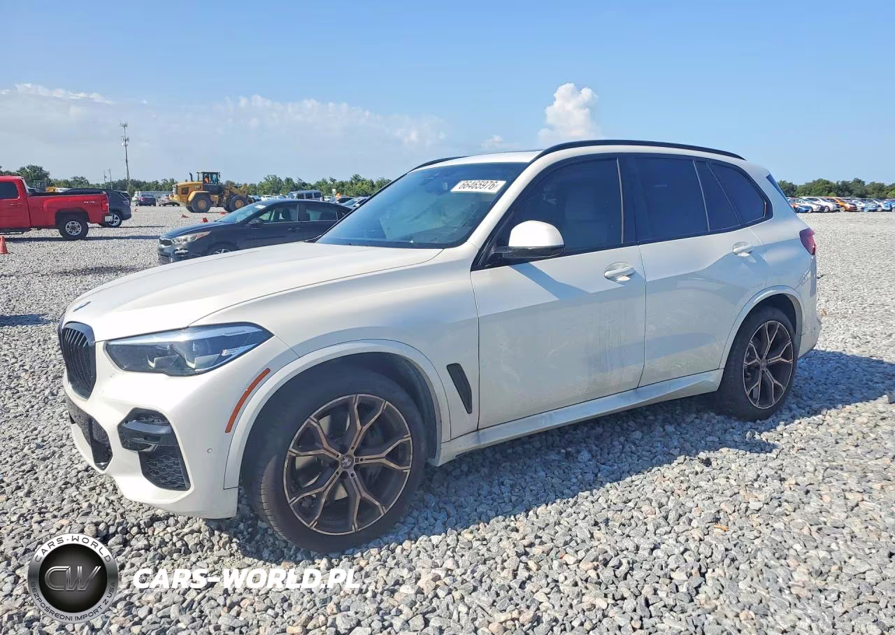 2023 BMW X5 Sdrive 40I VIN:5UXCR4C04P9R63235 - 1