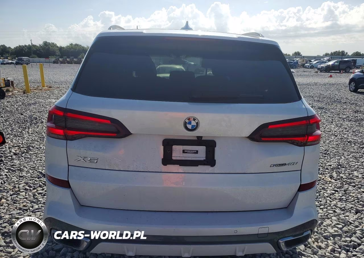 2023 BMW X5 Sdrive 40I VIN:5UXCR4C04P9R63235 - 6