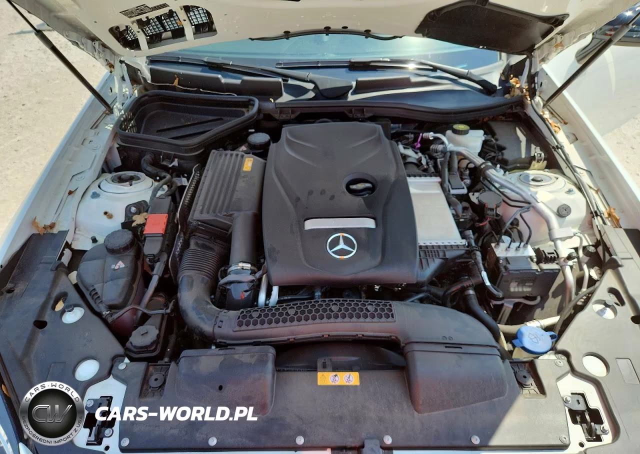 2019 Mercedes-Benz Slc 300 VIN:WDDPK3JA5KF157157 - 11