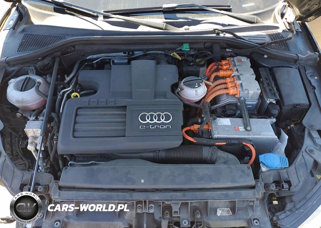 2016 Audi A3 E-Tron Premium VIN:WAUUPBFF6GA141919 - 11