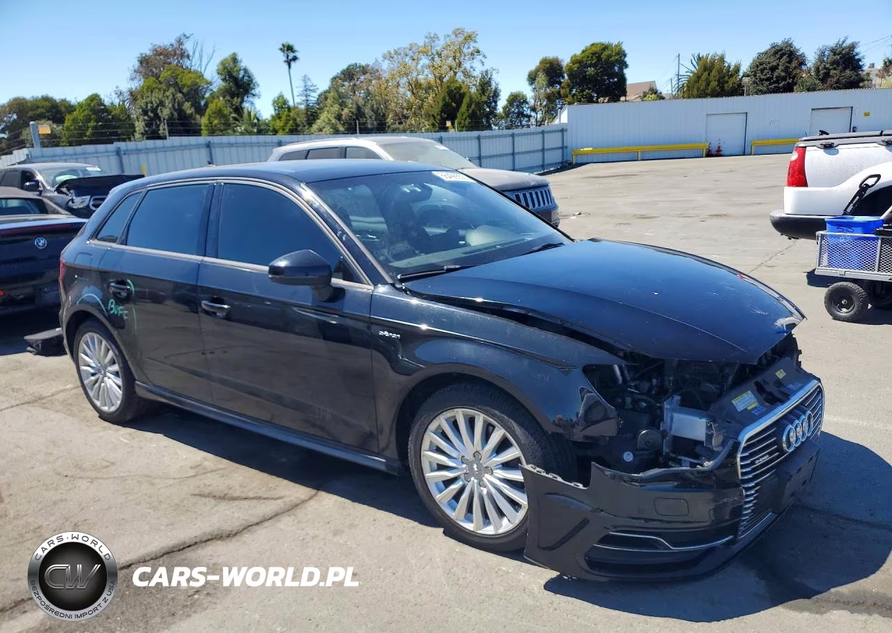 2016 Audi A3 E-Tron Premium VIN:WAUUPBFF6GA141919 - 4