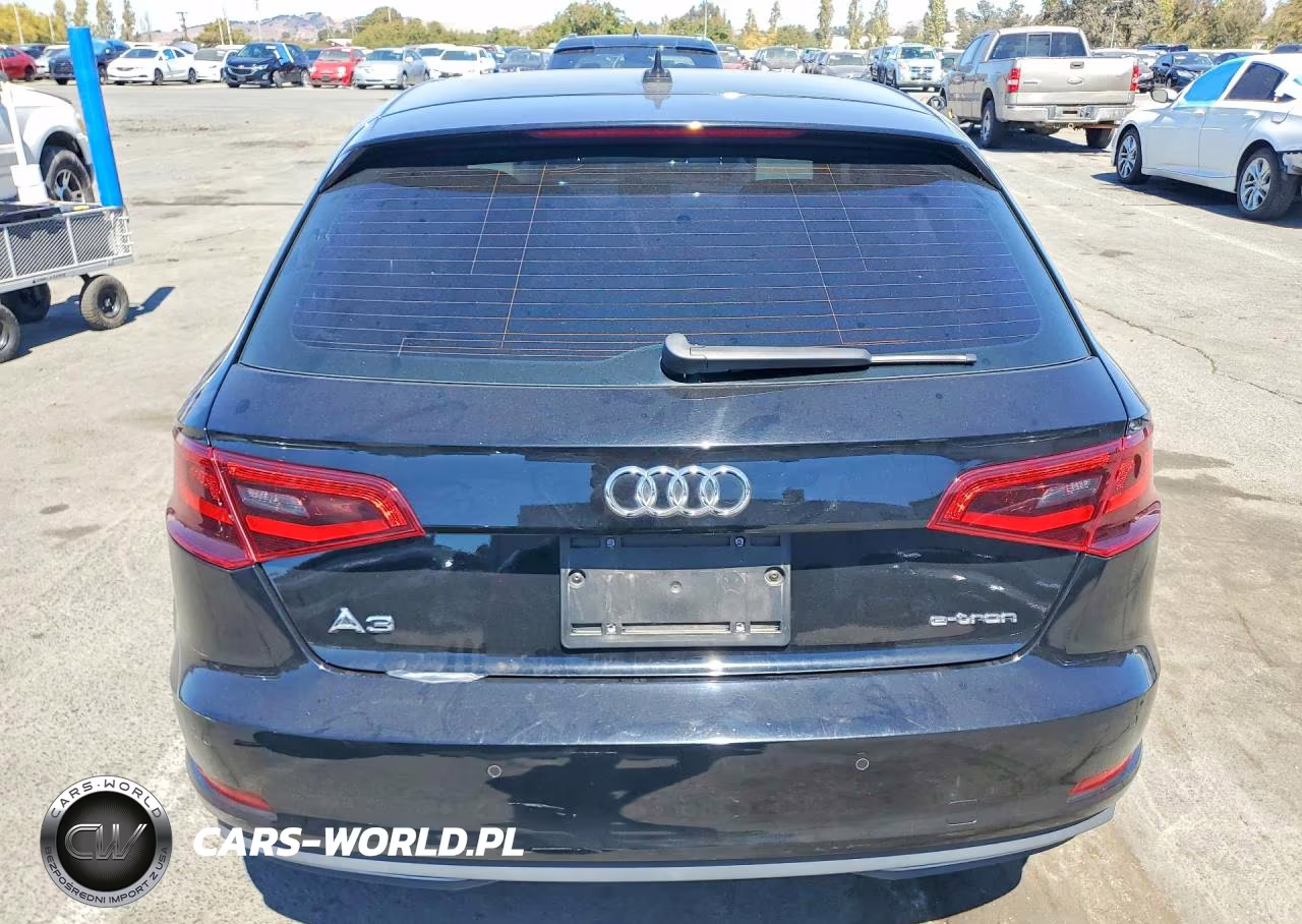 2016 Audi A3 E-Tron Premium VIN:WAUUPBFF6GA141919 - 6