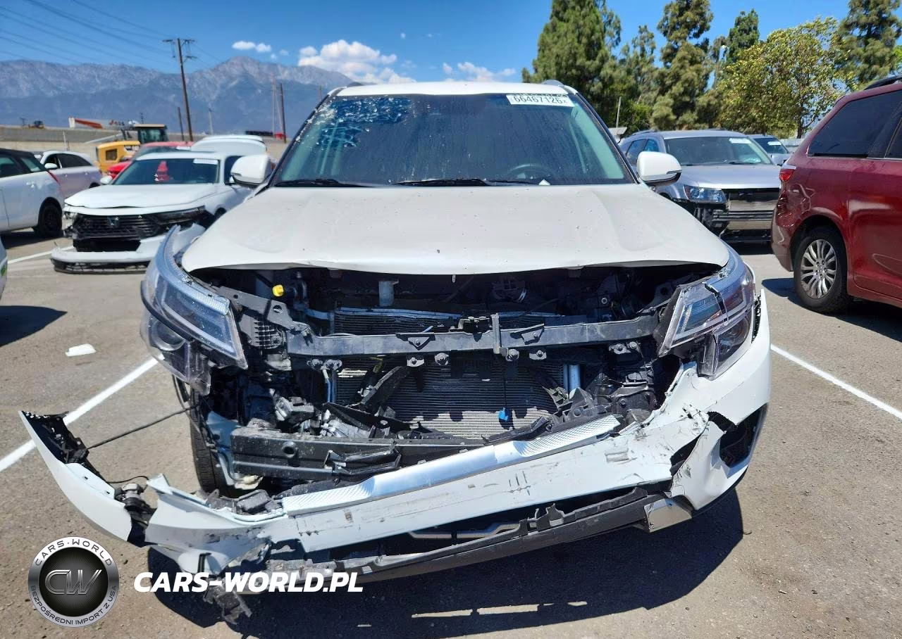 2024 Kia Seltos Ex VIN:KNDER2AA1R7566834 - 5