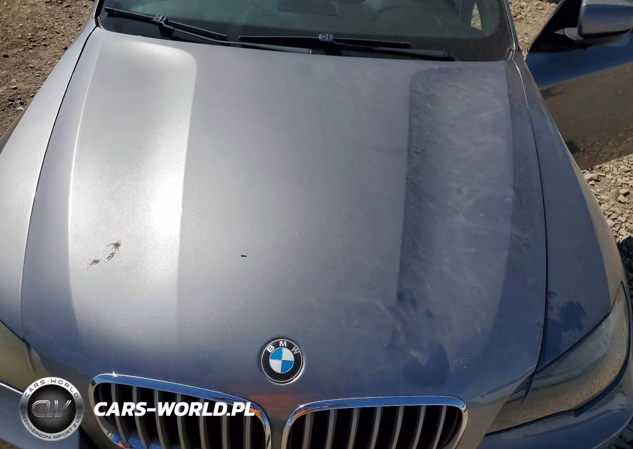 2011 BMW X6 xDrive50I VIN:5UXFG8C52BLZ95487 - 12