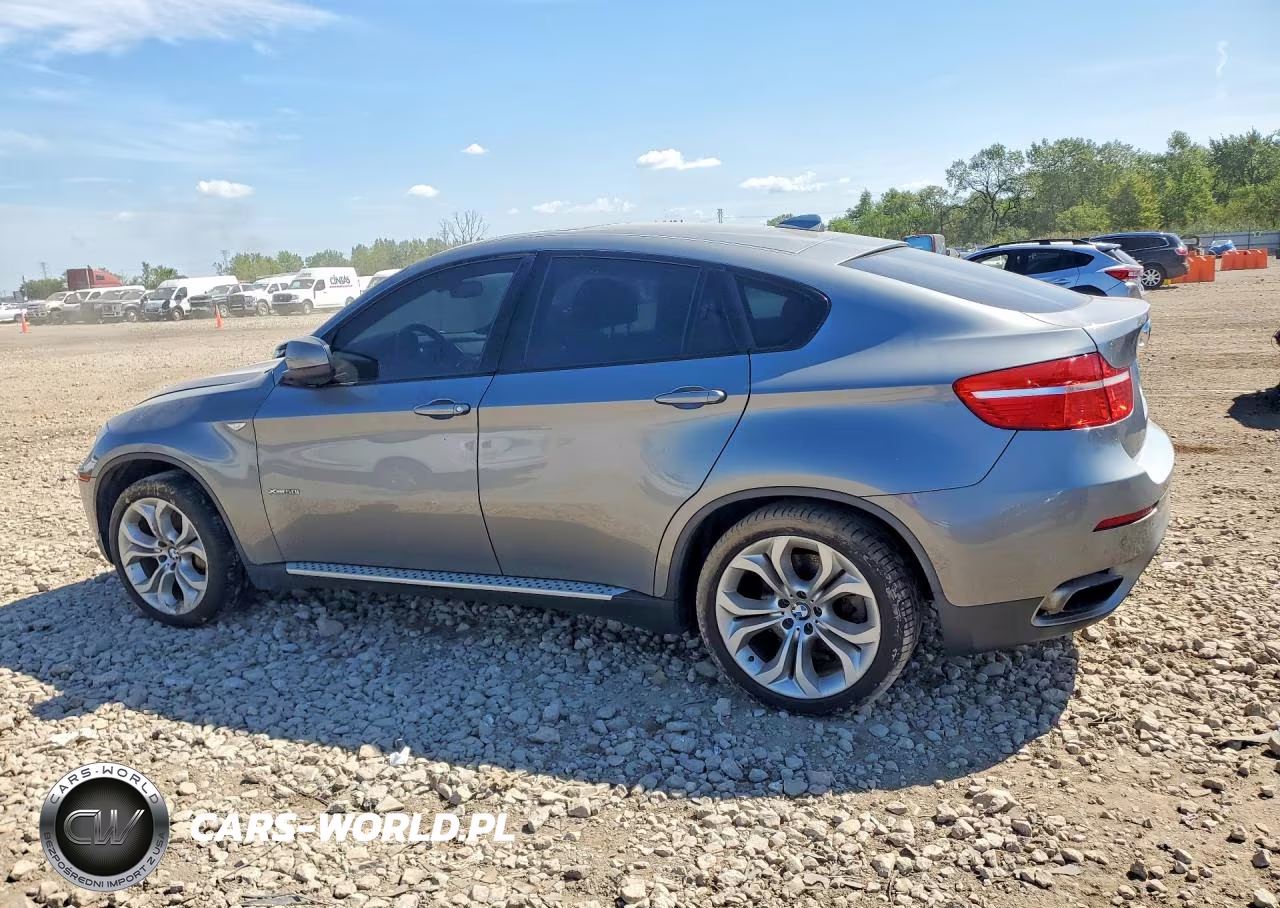 2011 BMW X6 xDrive50I VIN:5UXFG8C52BLZ95487 - 2