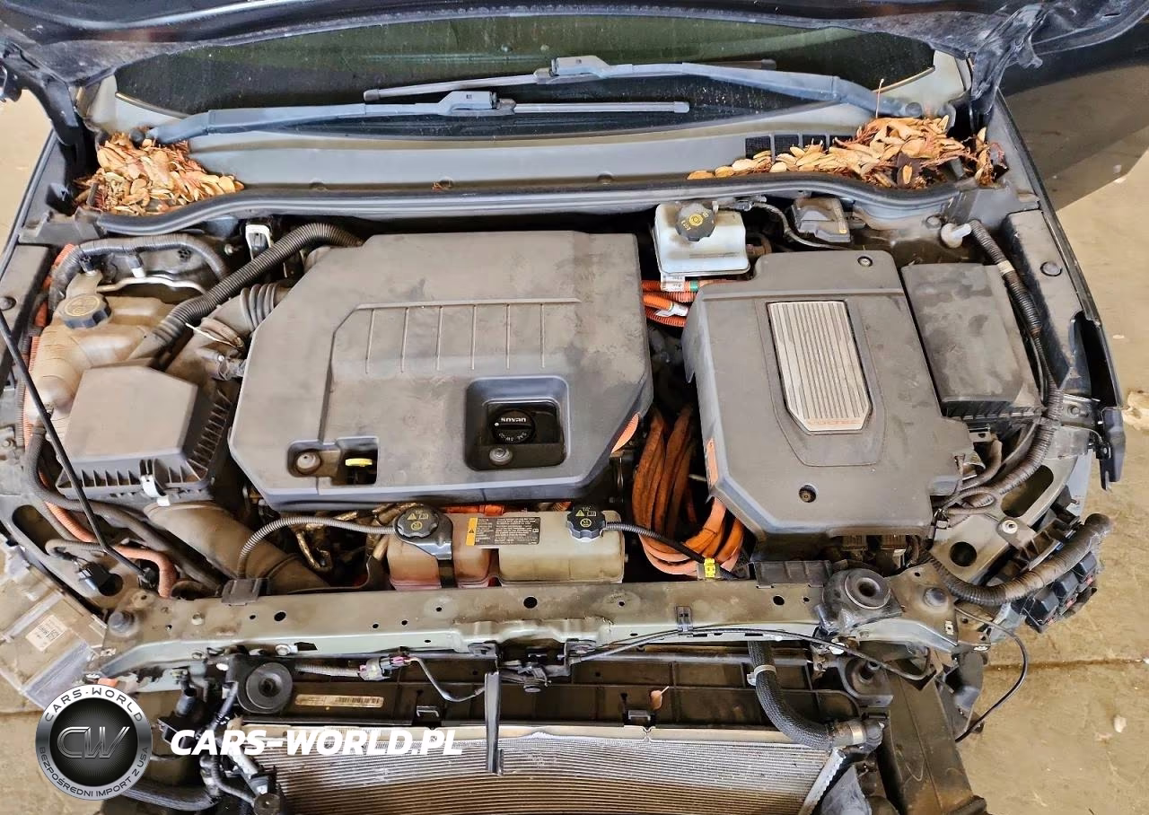 2014 Chevrolet Volt VIN:1G1RG6E4XEU160784 - 11