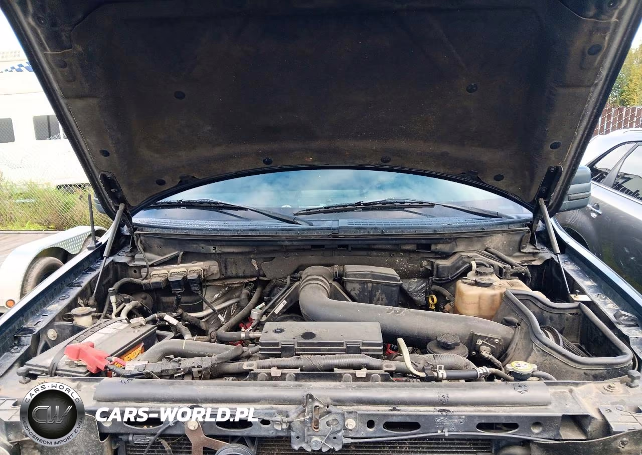 2010 Ford F150 Supercrew VIN:1FTFW1EV2AFC29779 - 11