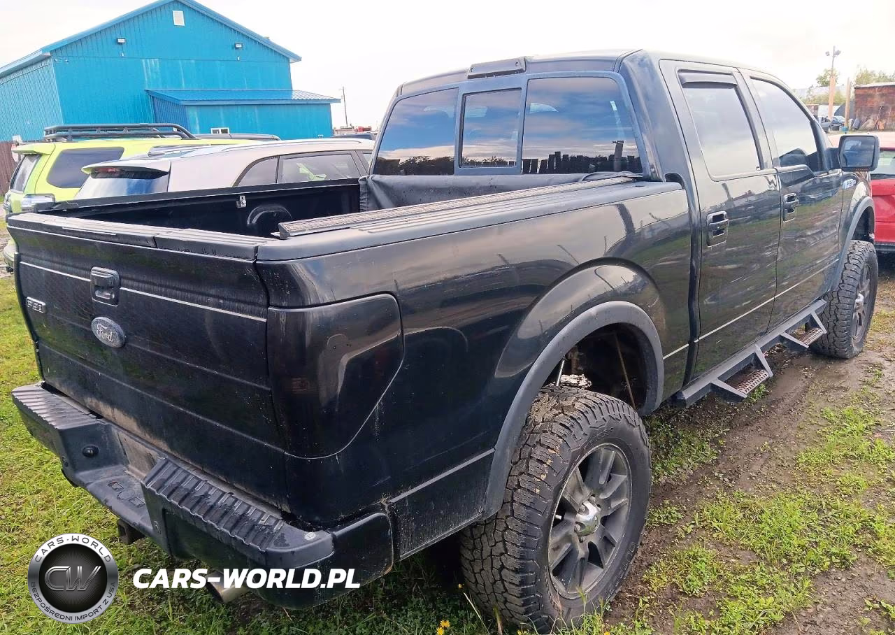 2010 Ford F150 Supercrew VIN:1FTFW1EV2AFC29779 - 3