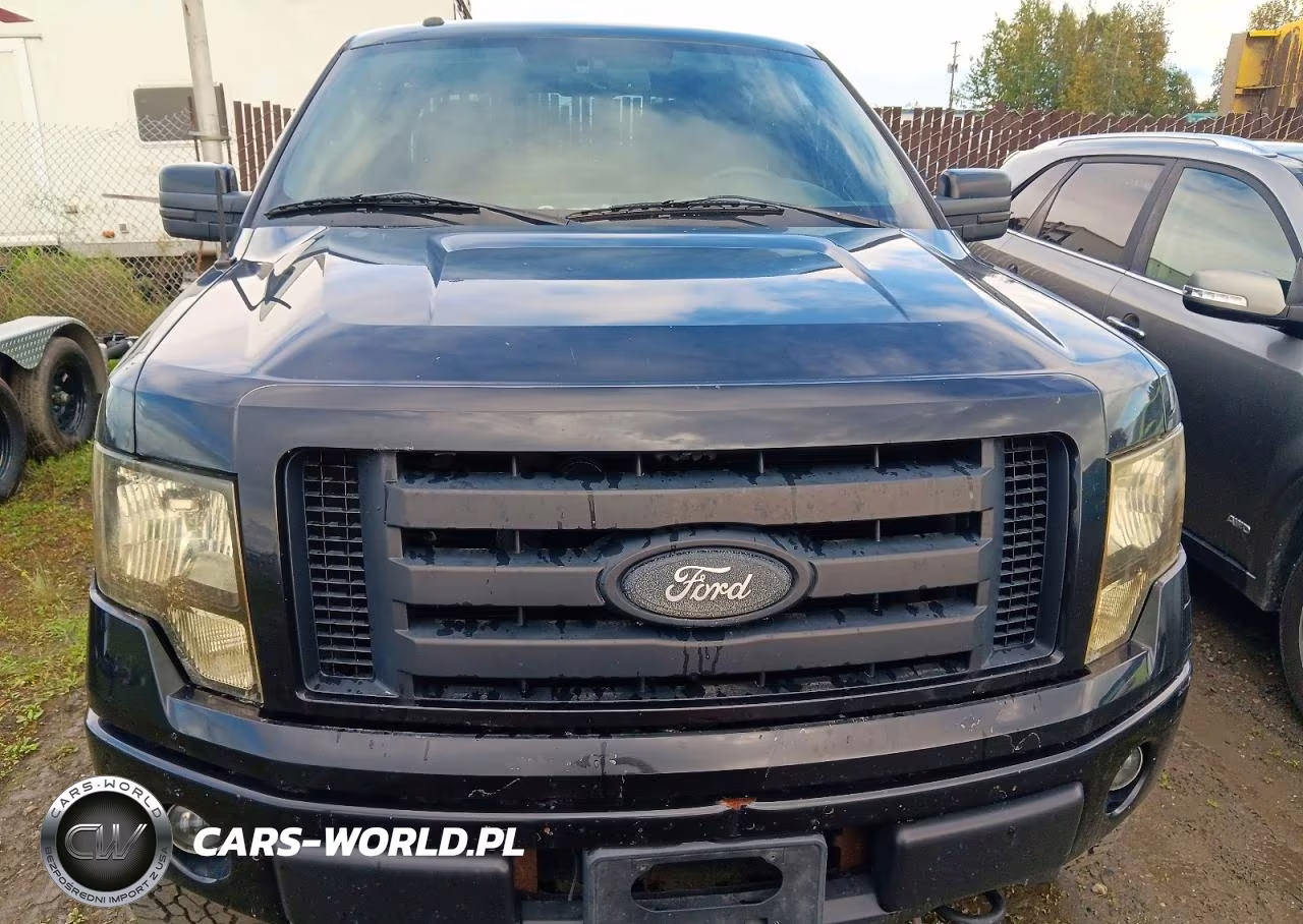2010 Ford F150 Supercrew VIN:1FTFW1EV2AFC29779 - 5