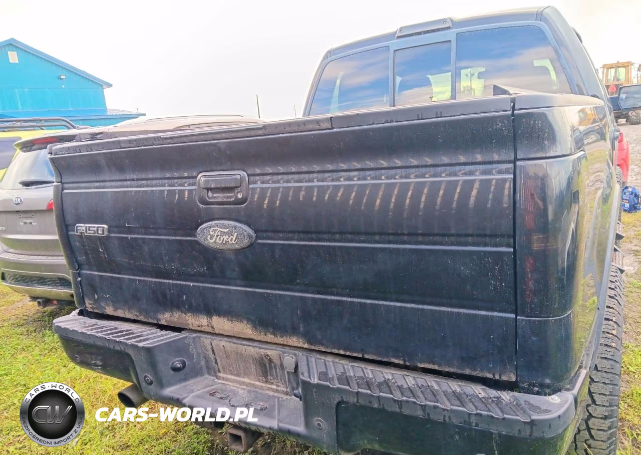 2010 Ford F150 Supercrew VIN:1FTFW1EV2AFC29779 - 6