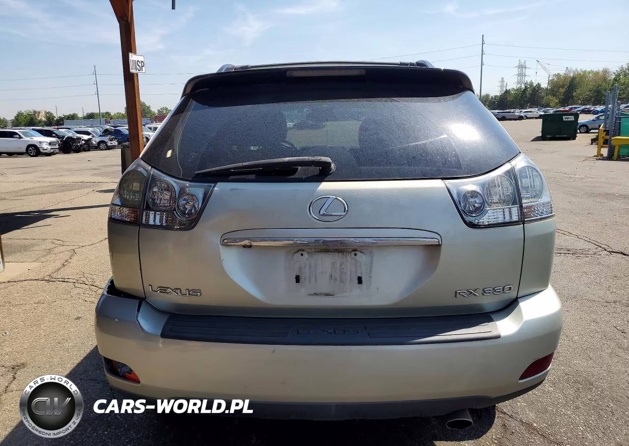 2004 Lexus Rx 330 VIN:JTJGA31U940044838 - 6
