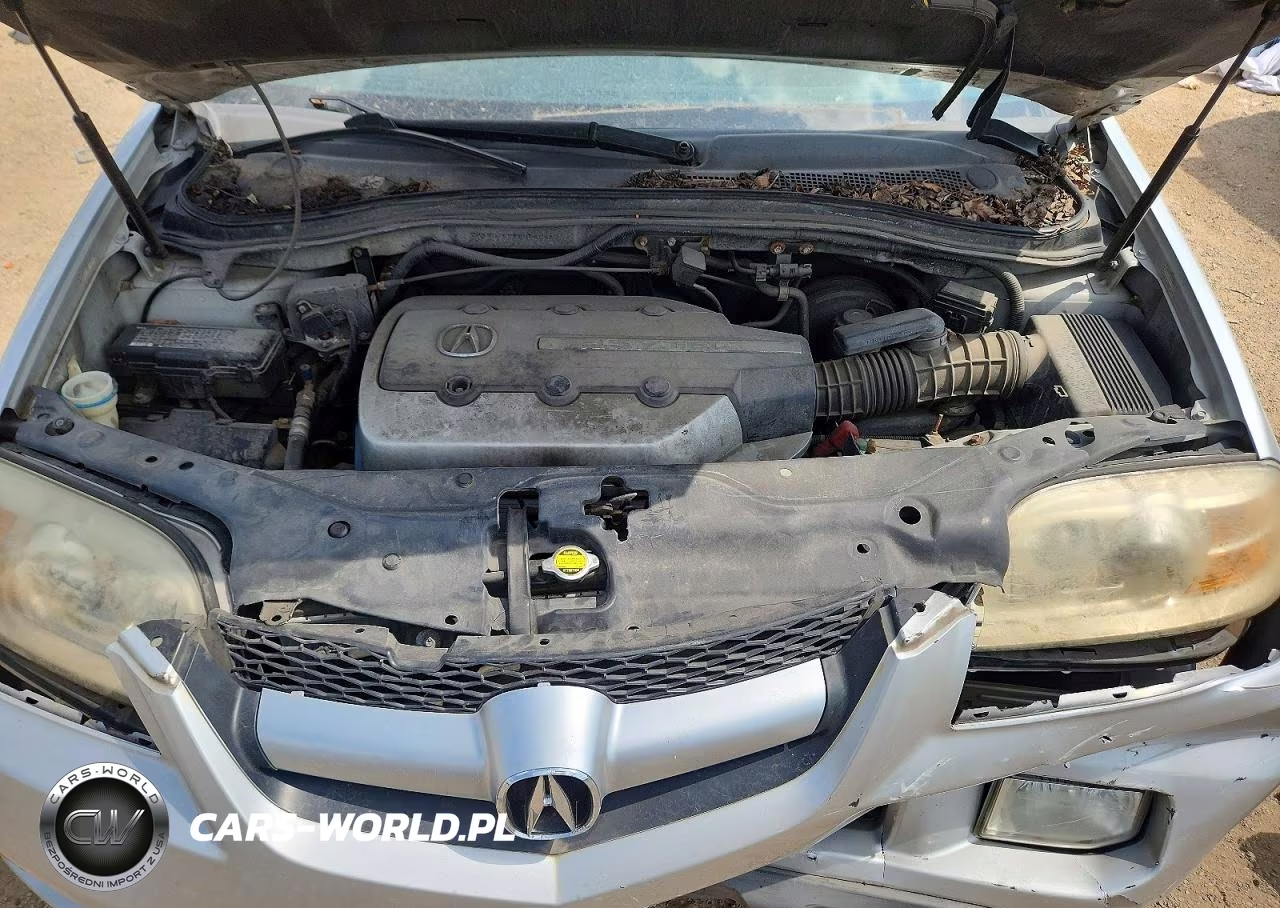 2006 Acura Mdx VIN:2HNYD18296H546457 - 11