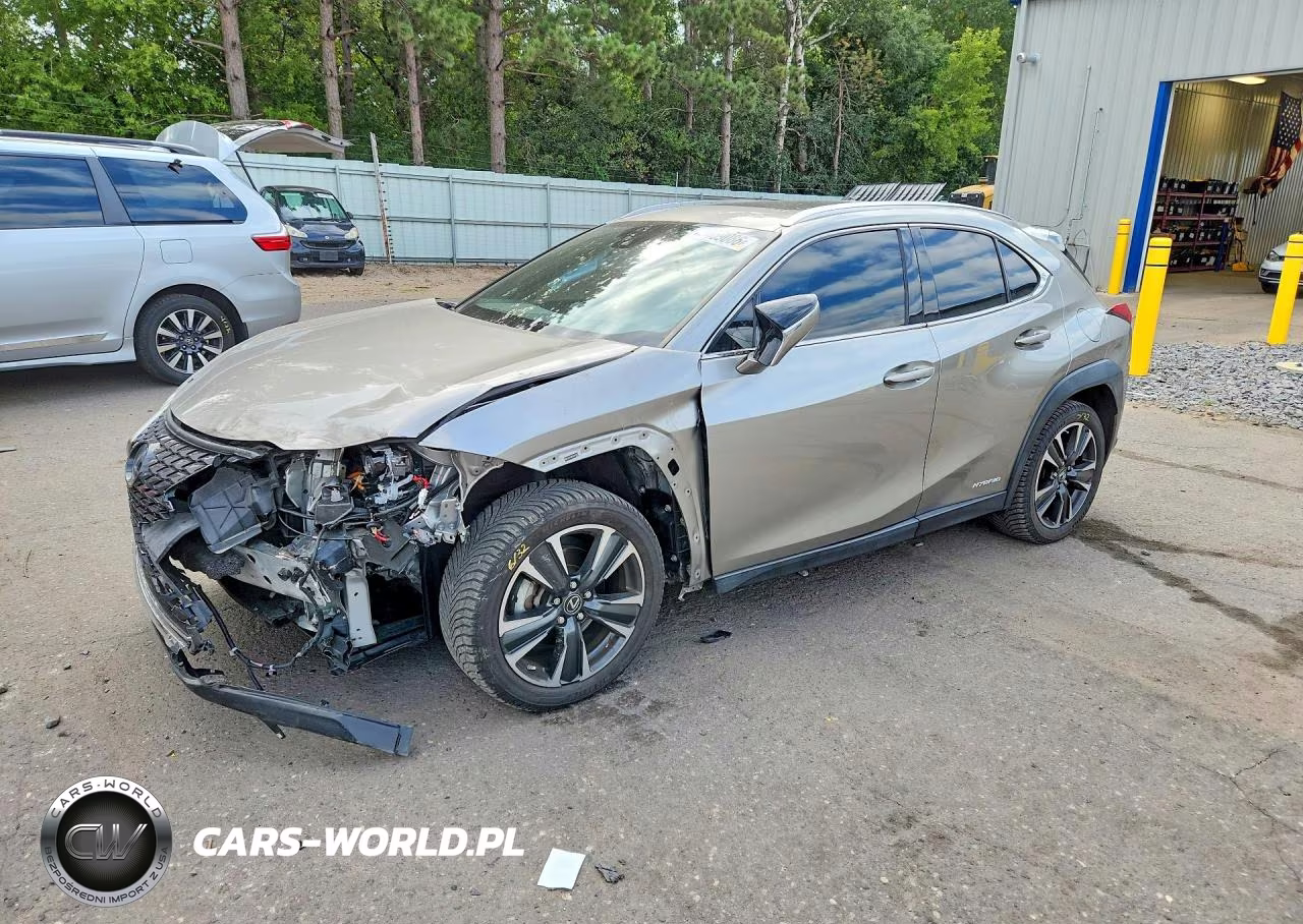 2019 Lexus Ux 250H
