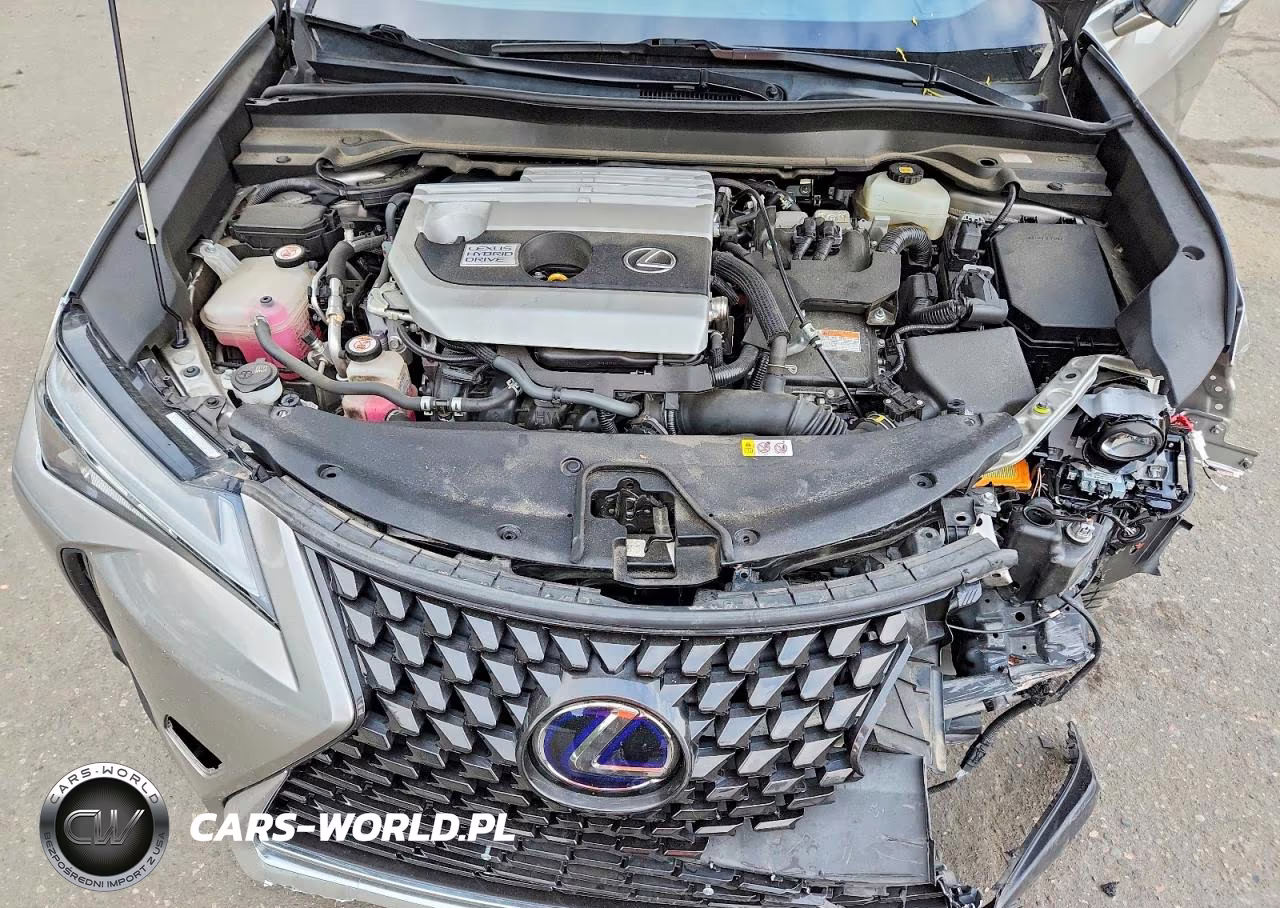 2019 Lexus Ux 250H VIN:JTHU9JBH0K2009237 - 12