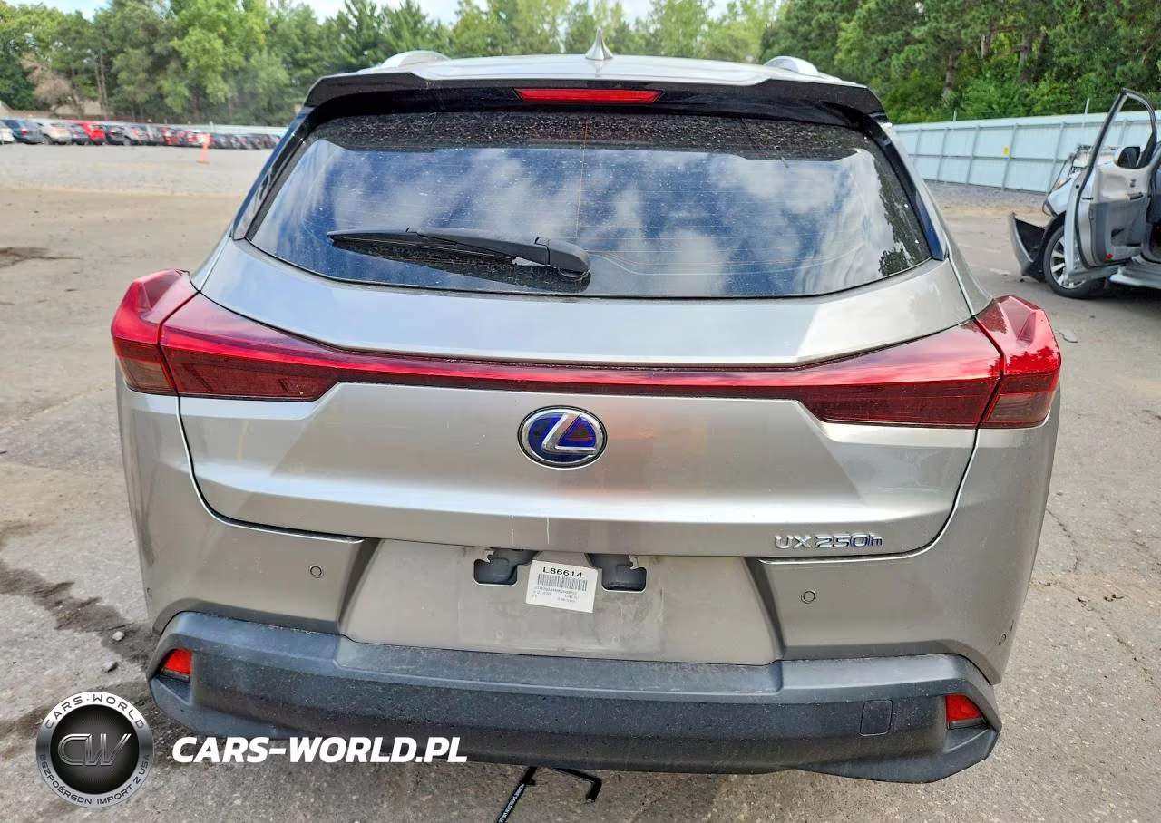 2019 Lexus Ux 250H VIN:JTHU9JBH0K2009237 - 6