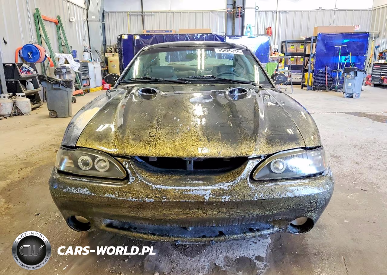 1997 Ford Mustang Cobra VIN:1FALP47V5VF178451 - 5