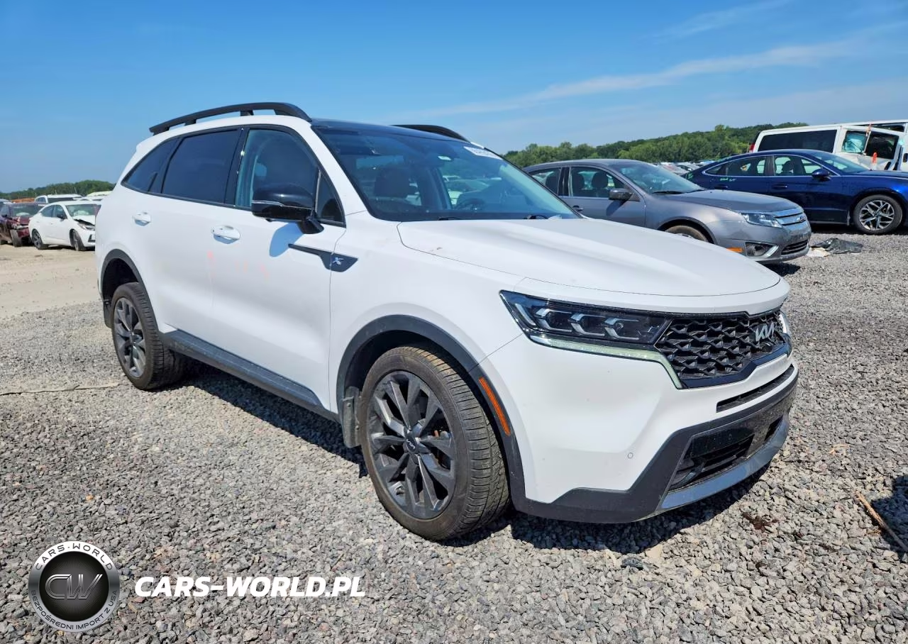 2023 Kia Sorento X-Line Sx Prestige VIN:5XYRKDLF6PG237346 - 4