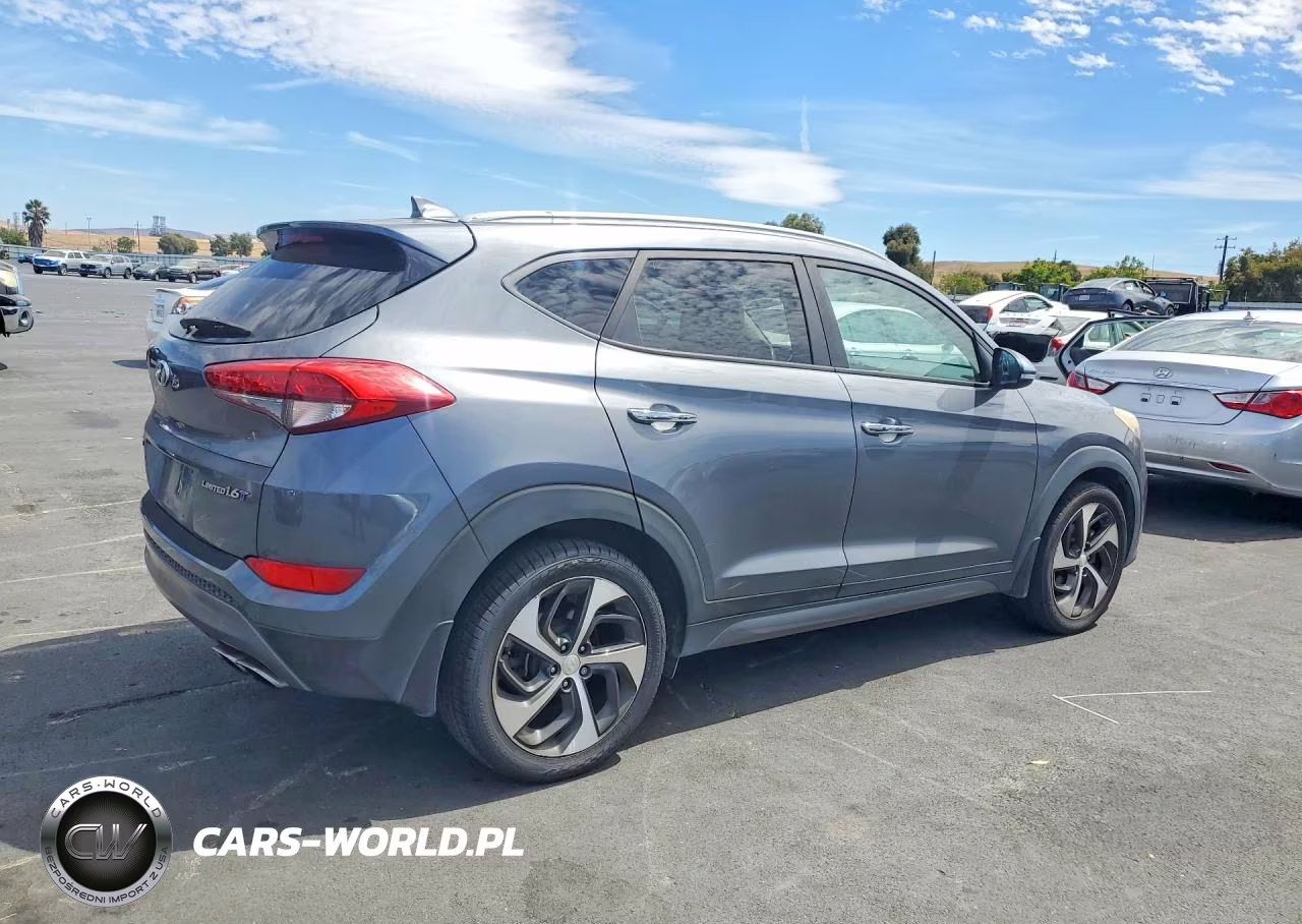 2016 Hyundai Tucson Limited VIN:KM8J33A25GU247056 - 3