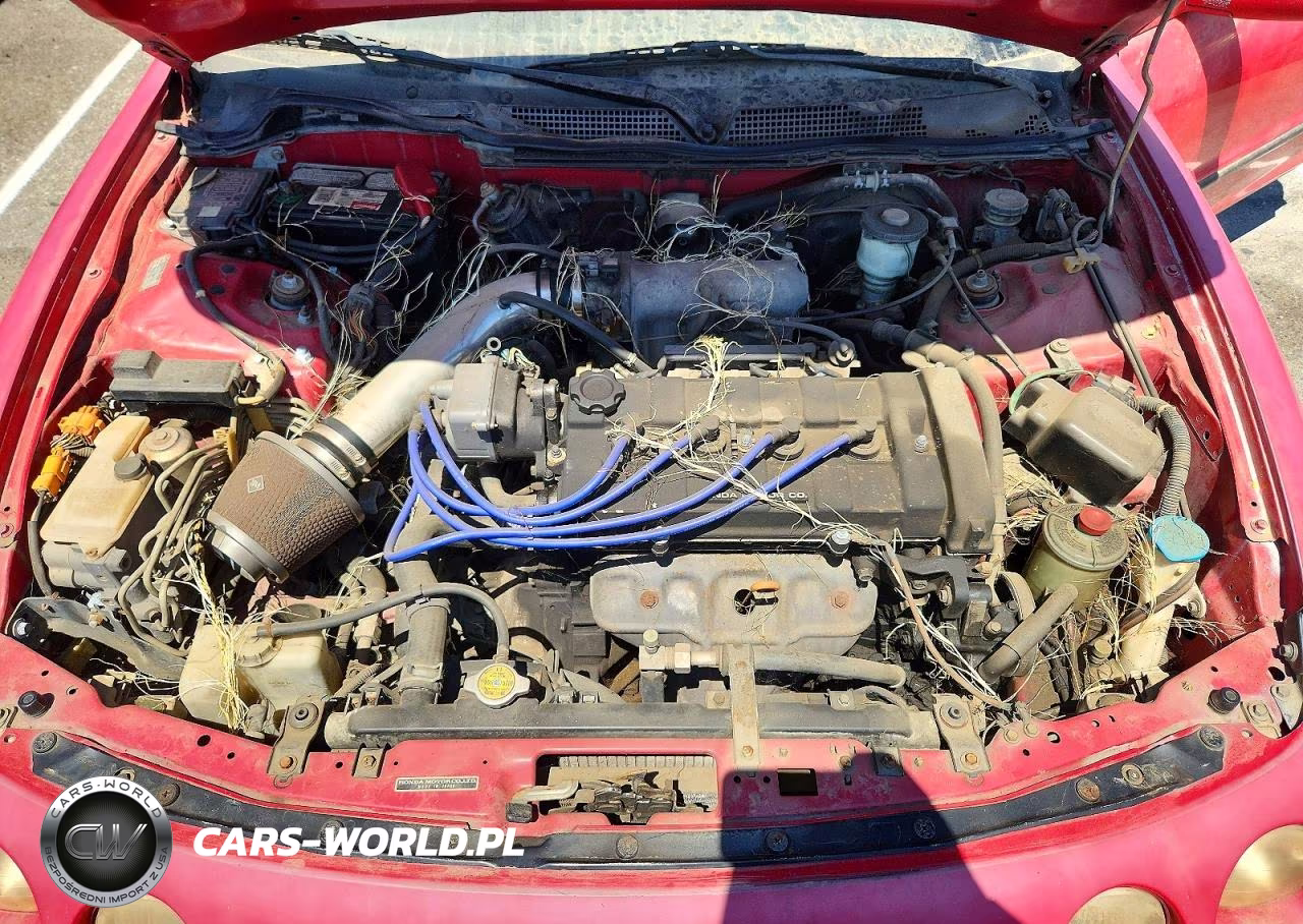 1995 Acura Integra Ls VIN:JH4DC4354SS039901 - 11