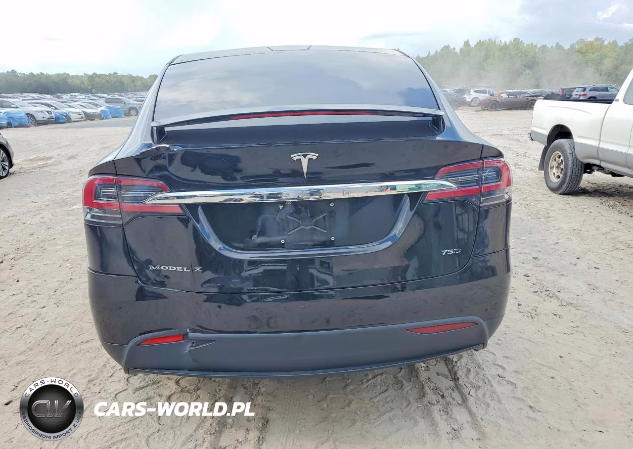 2017 Tesla Model X VIN:5YJXCDE28HF031081 - 6