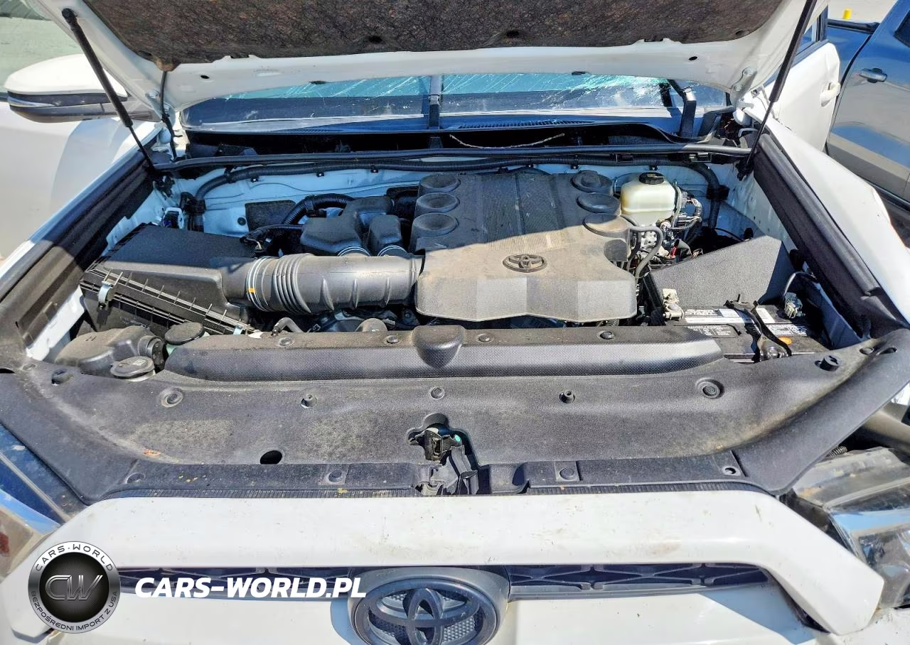 2019 Toyota 4Runner Sr5 Premium VIN:JTEBU5JR7K5651604 - 12