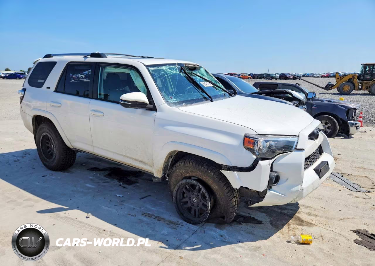 2019 Toyota 4Runner Sr5 Premium VIN:JTEBU5JR7K5651604 - 4