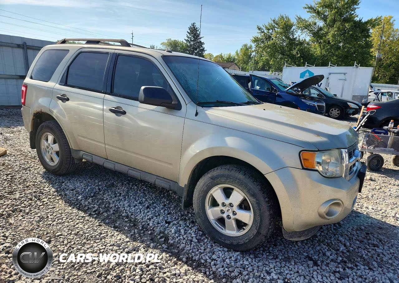 2012 Ford Escape Xlt VIN:1FMCU9DG6CKA73987 - 4