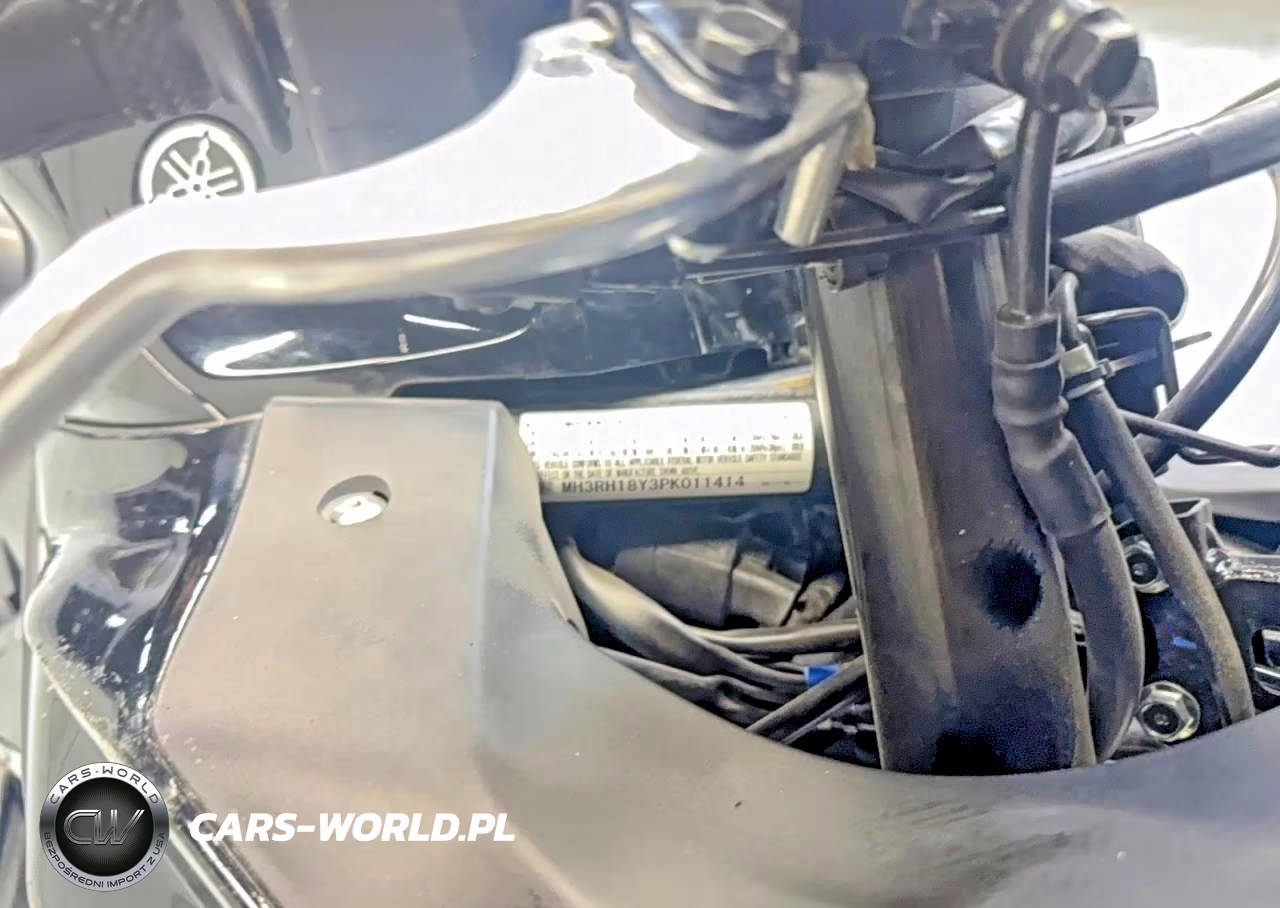2023 Yamaha Yzfr3 A VIN:MH3RH18Y3PK011414 - 10