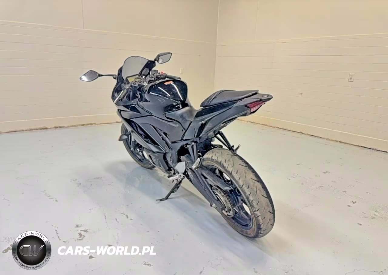 2023 Yamaha Yzfr3 A VIN:MH3RH18Y3PK011414 - 3