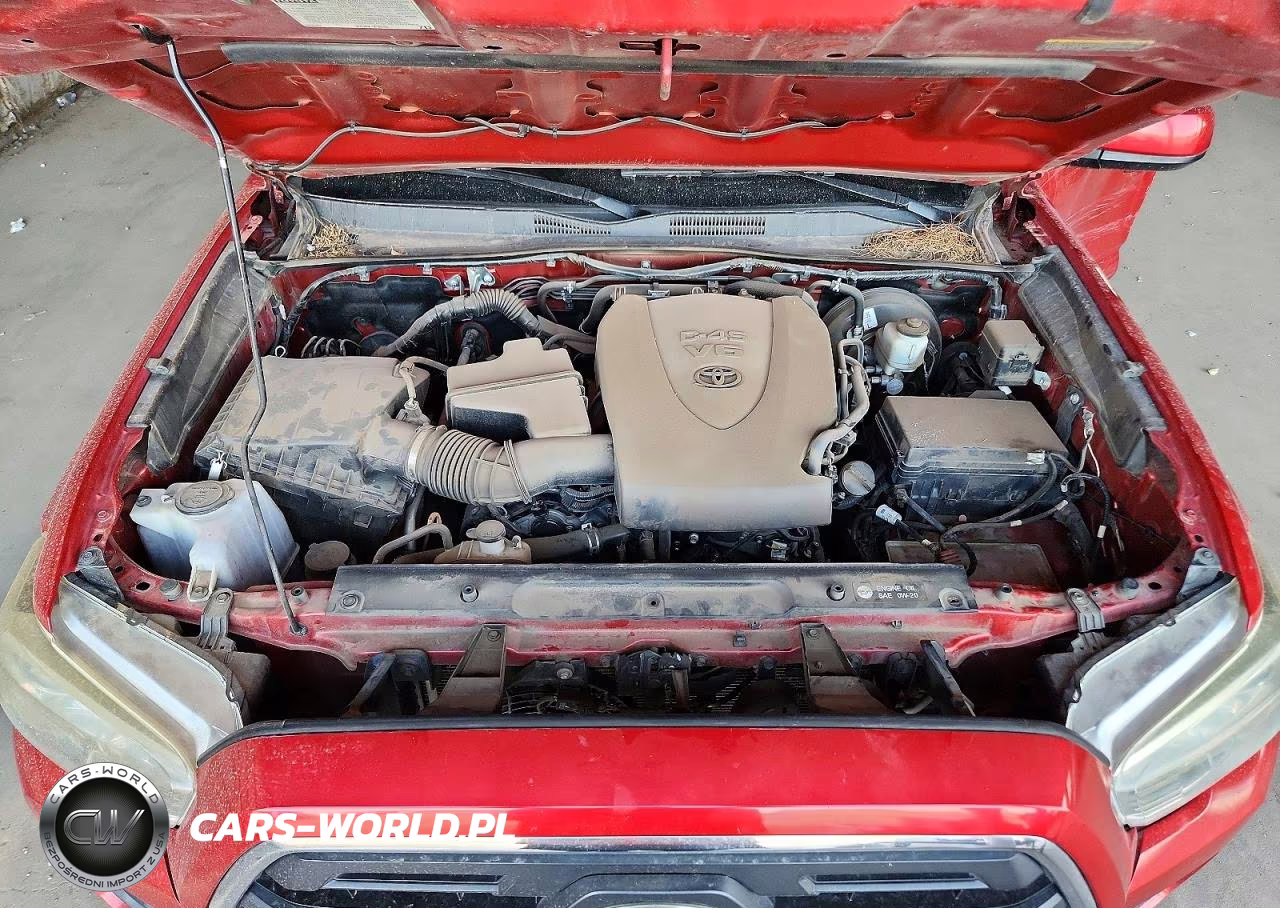 2019 Toyota Tacoma Sr5 V6 VIN:5TFAZ5CN6KX080235 - 11