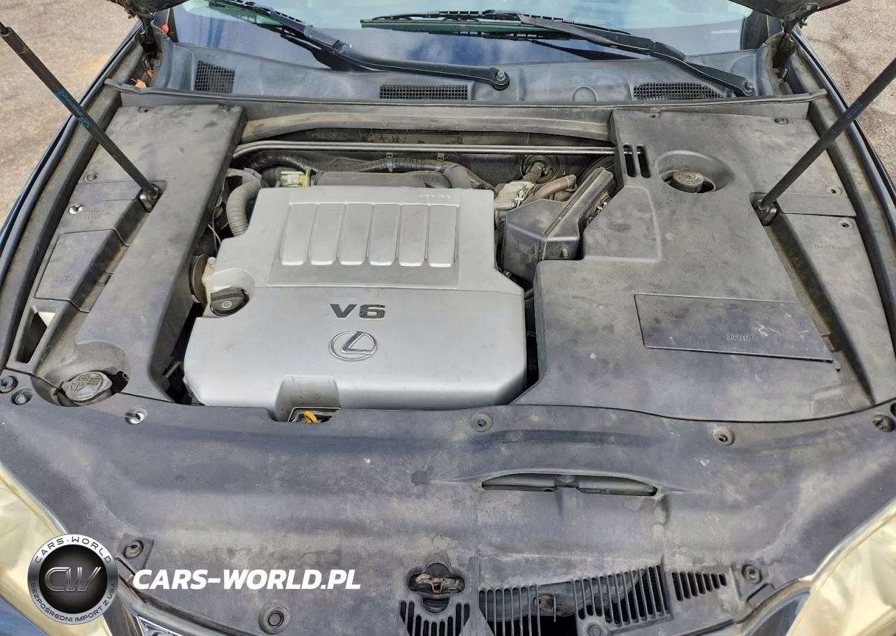 2009 Lexus Es 350 VIN:JTHBJ46G492307690 - 11