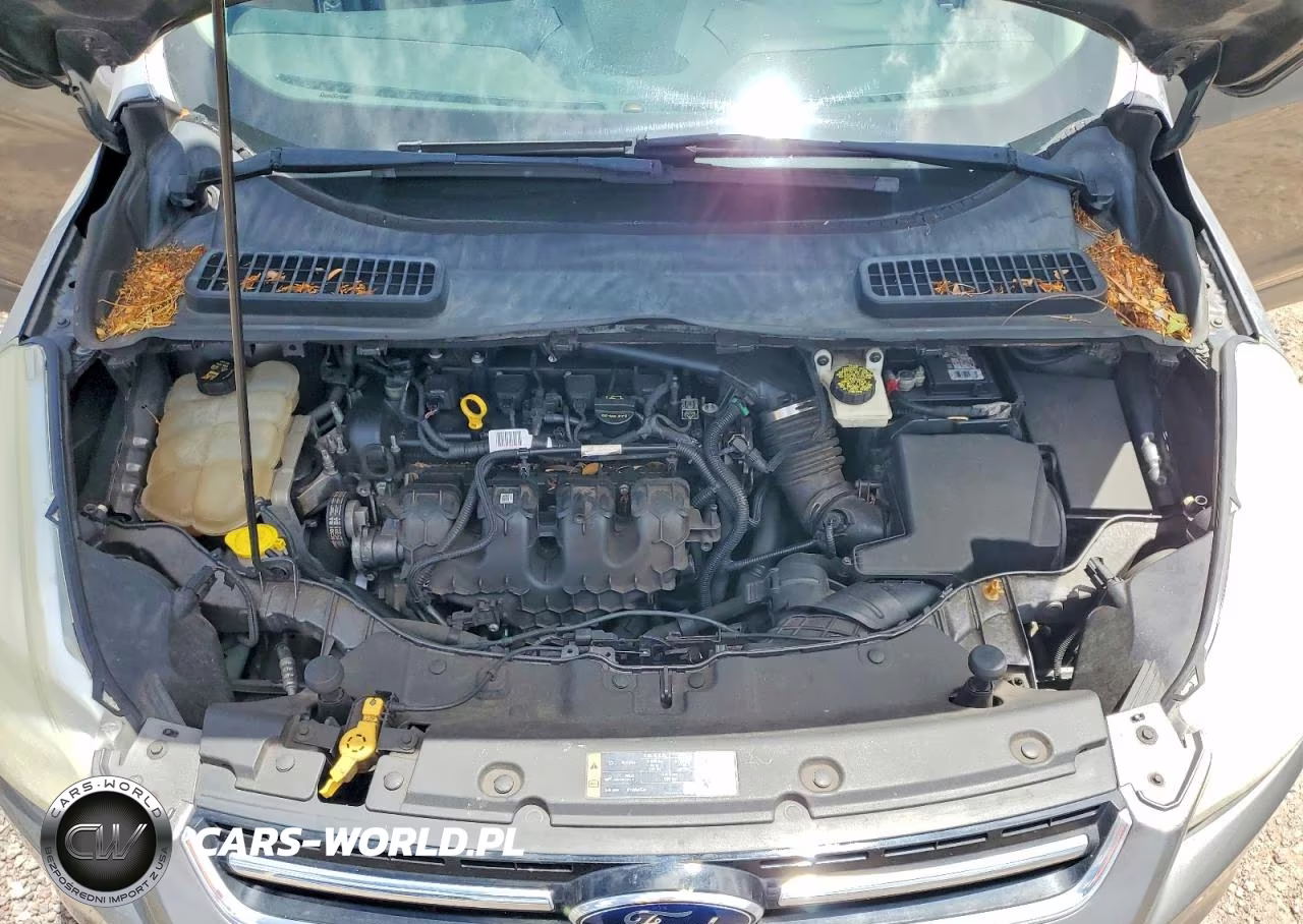 2014 Ford Escape Titanium VIN:1FMCU0J91EUC34805 - 12