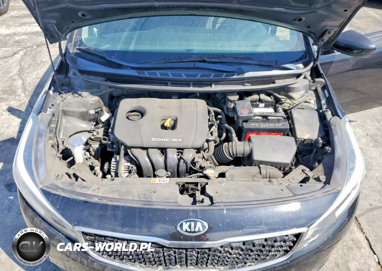 2017 Kia Forte Lx VIN:3KPFK4A75HE069177 - 11