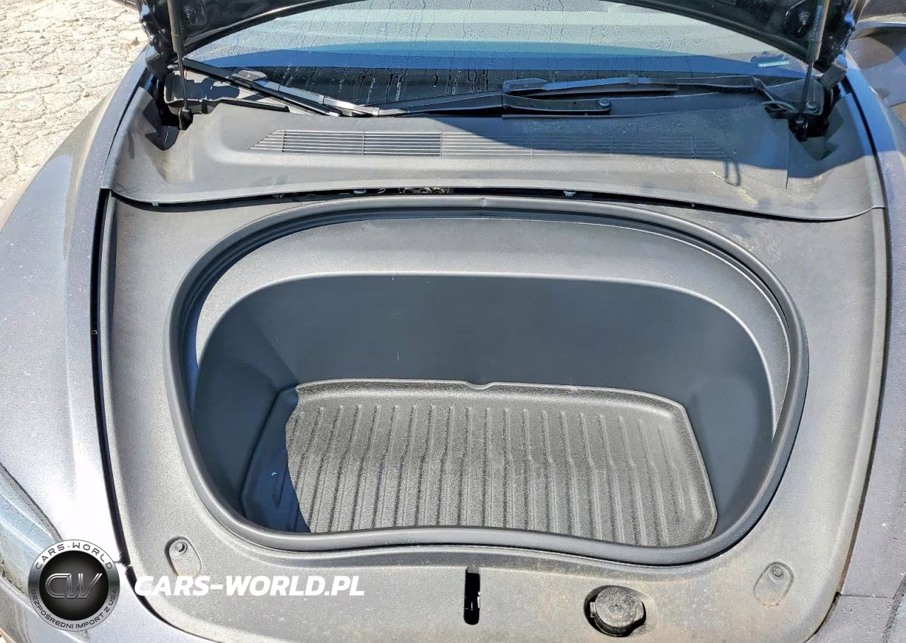 2025 Tesla Model 3 VIN:5YJ3E1EA5SF031593 - 11