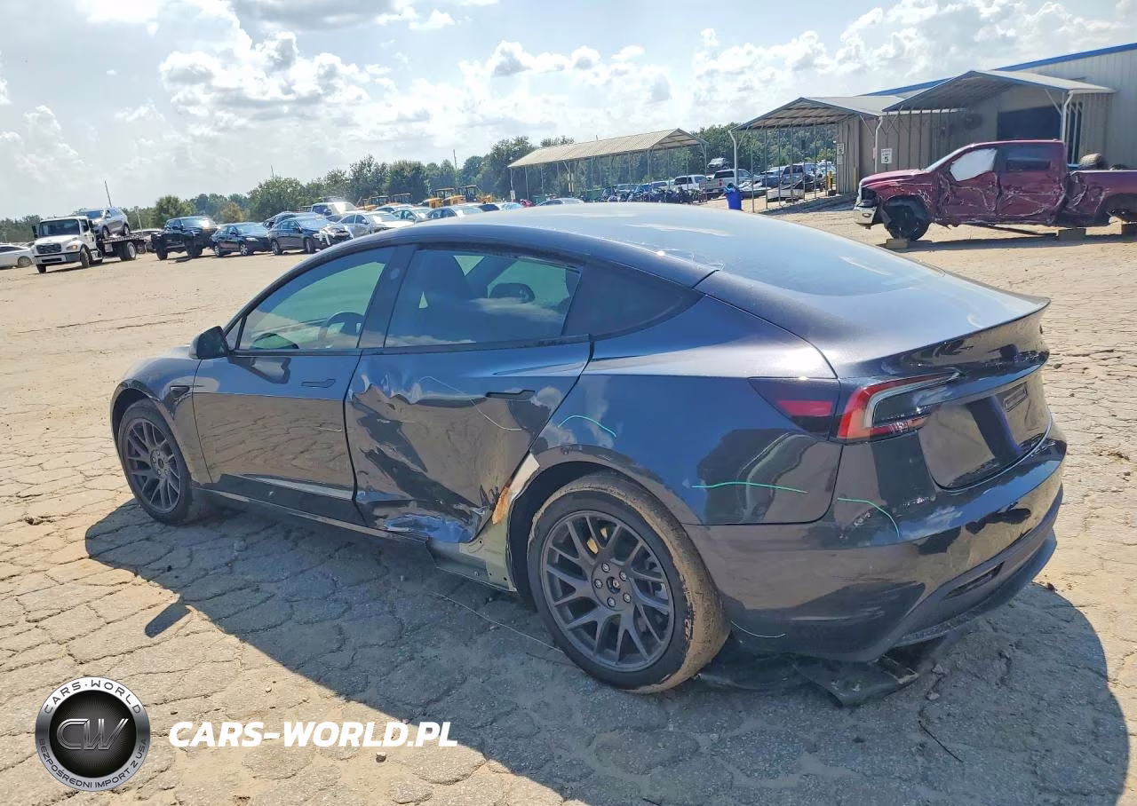 2025 Tesla Model 3 VIN:5YJ3E1EA5SF031593 - 2