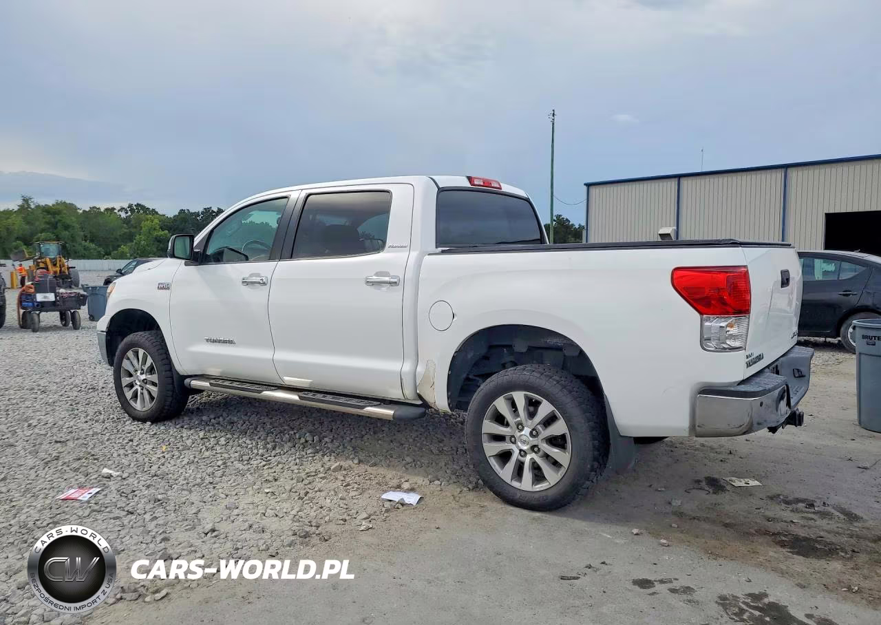 2013 Toyota Tundra Platinum VIN:5TFHW5F1XDX307431 - 2