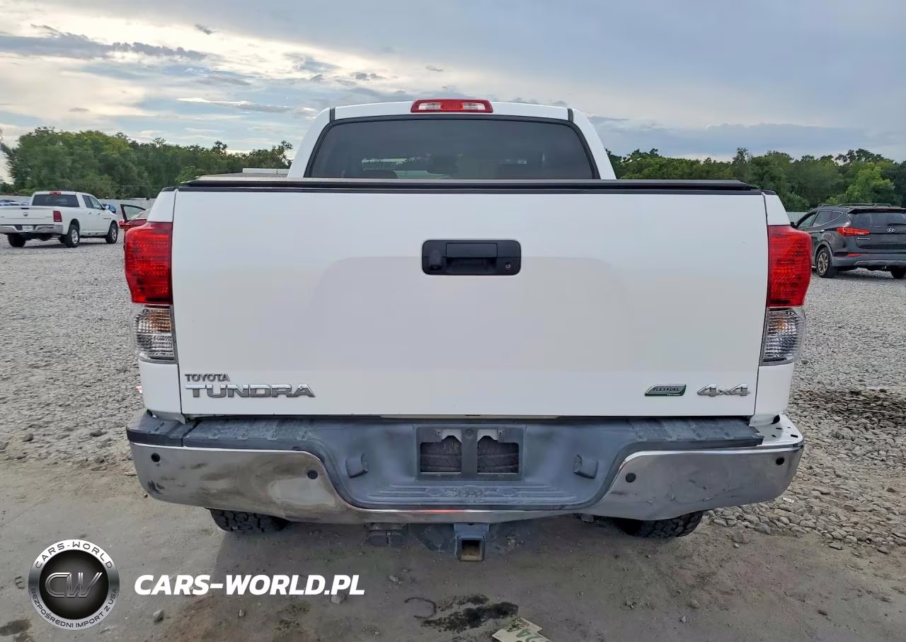 2013 Toyota Tundra Platinum VIN:5TFHW5F1XDX307431 - 6