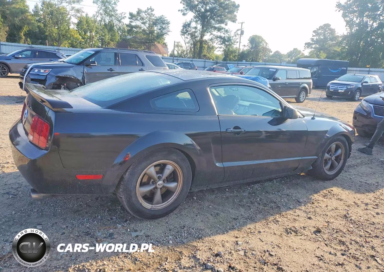 2005 Ford Mustang VIN:1ZVHT80N955259632 - 3