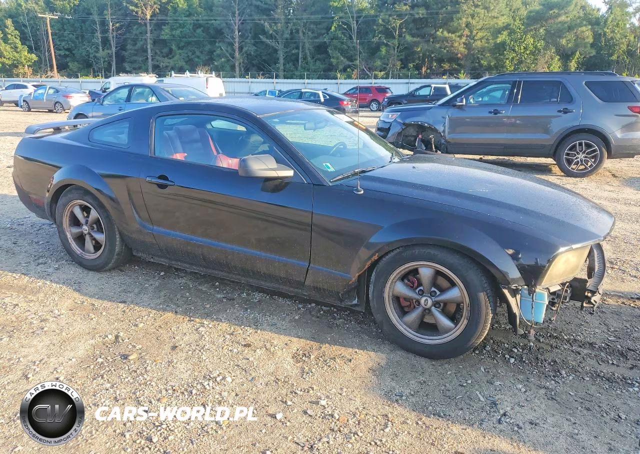 2005 Ford Mustang VIN:1ZVHT80N955259632 - 4
